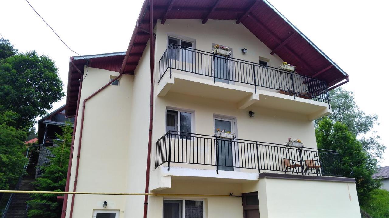 Casa Zura Hotell Buşteni Eksteriør bilde