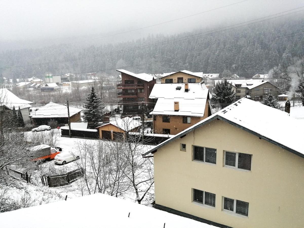 Casa Zura Hotell Buşteni Eksteriør bilde