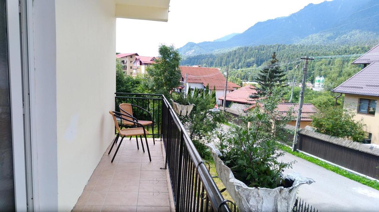 Casa Zura Hotell Buşteni Eksteriør bilde