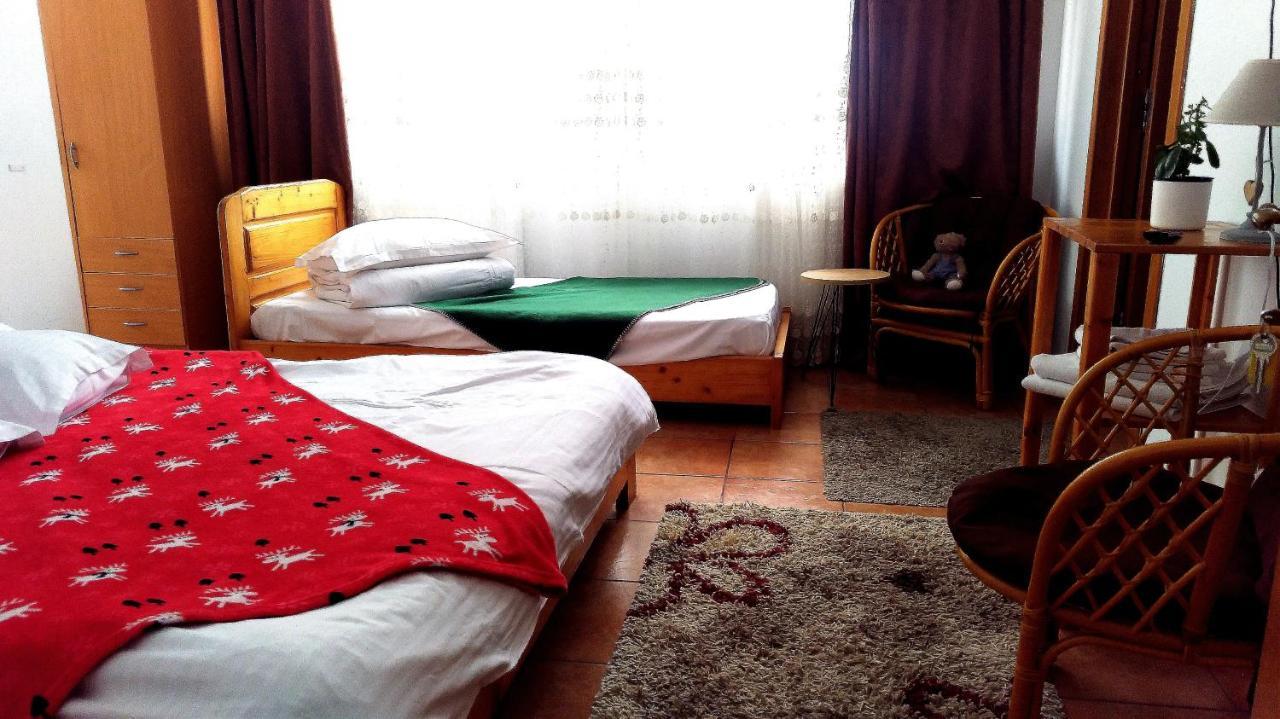 Casa Zura Hotell Buşteni Eksteriør bilde
