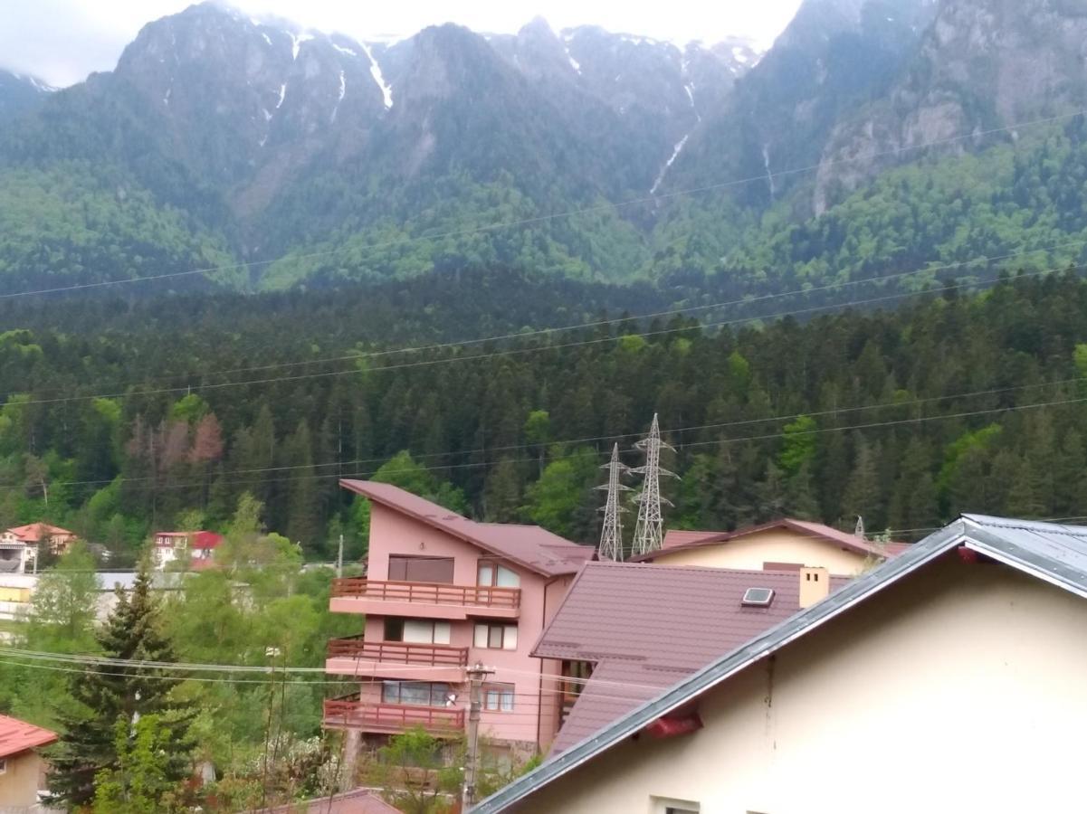 Casa Zura Hotell Buşteni Eksteriør bilde