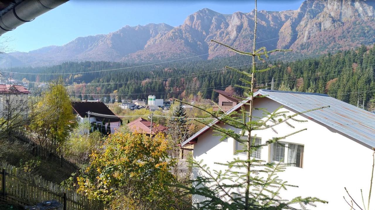 Casa Zura Hotell Buşteni Eksteriør bilde